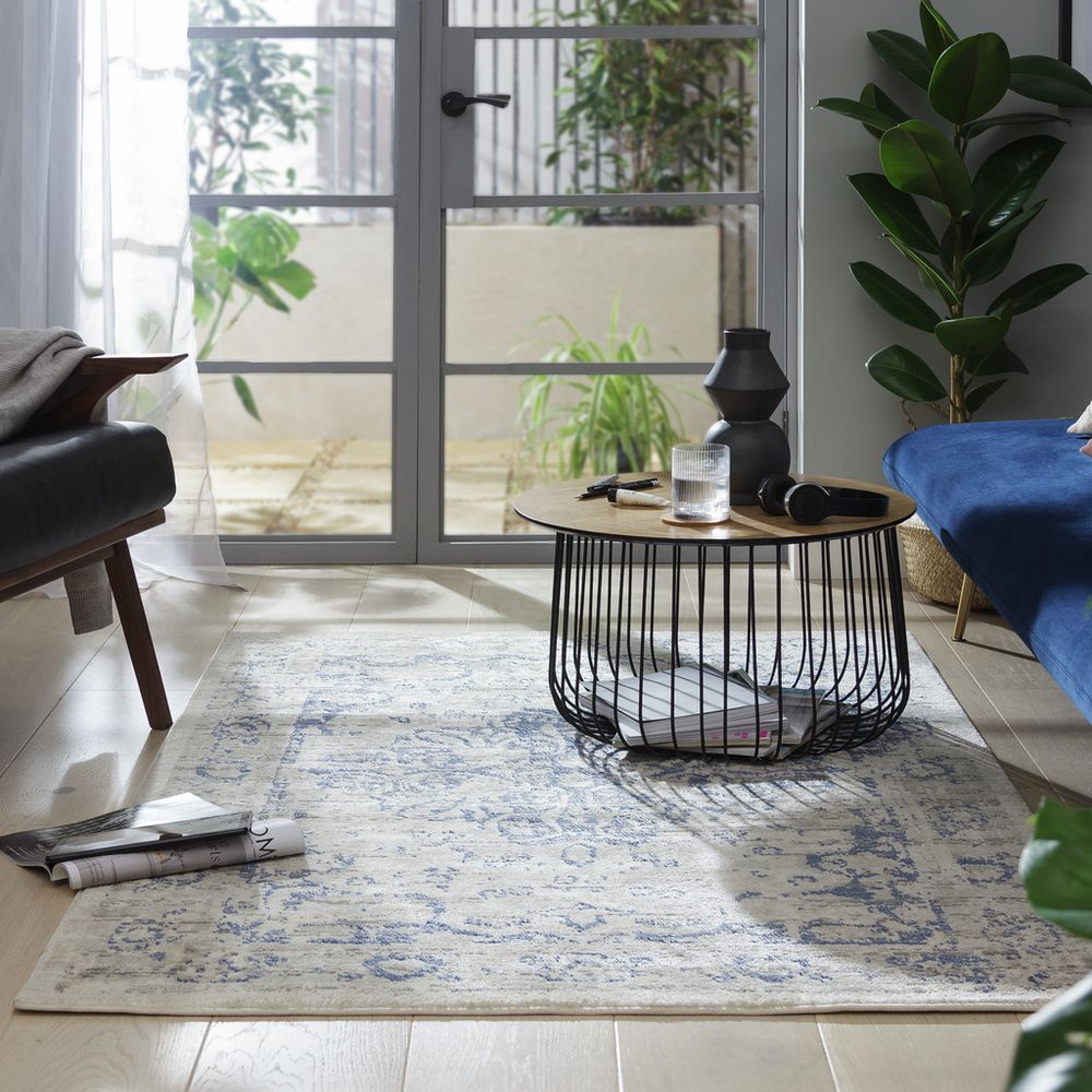 Blue and cream patterned area rug in modern living room with sofa, coffee table, and plants