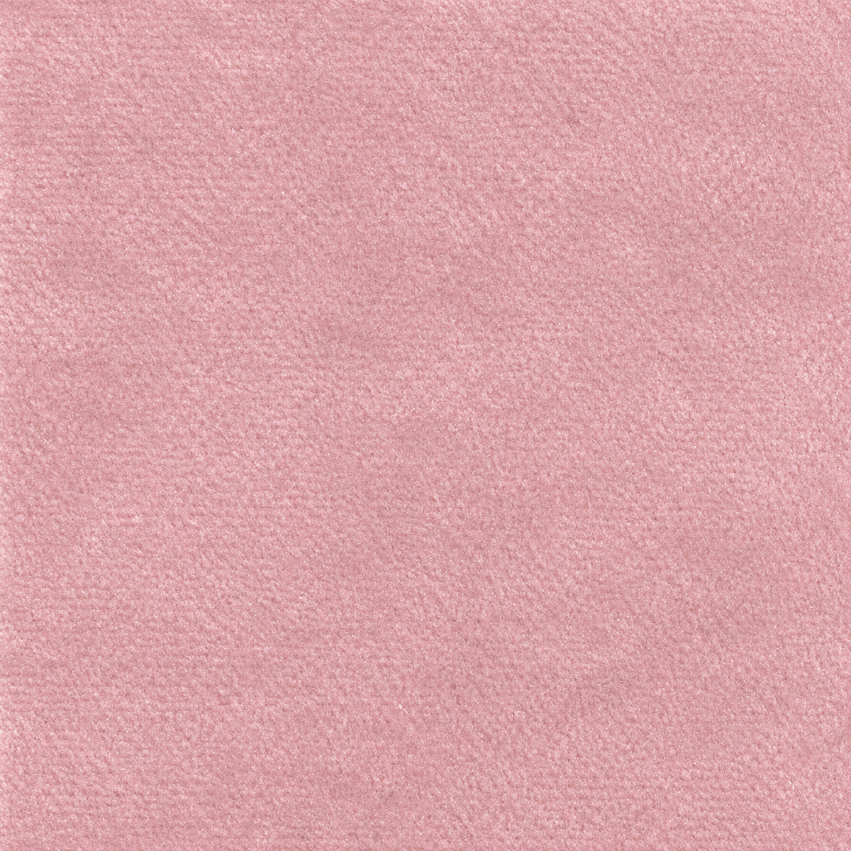 Pink Plush Velvet bedroom upholstery fabric swatch — texture close-up