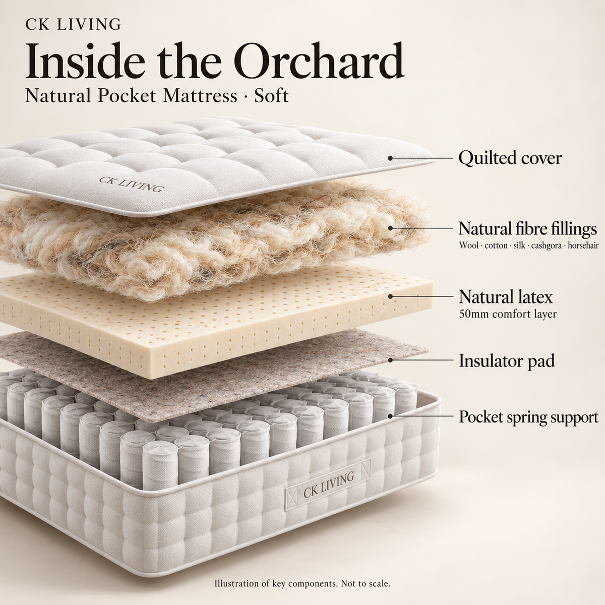 Orchard Natural Pocket Mattress — Soft — illustrative view of quilted cover, natural fibre fillings, 50mm natural latex, insulator pad and pocket spring support; not to scale