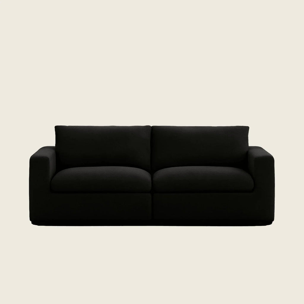Black two-seater luxury sofa with modern design, perfect for contemporary living rooms