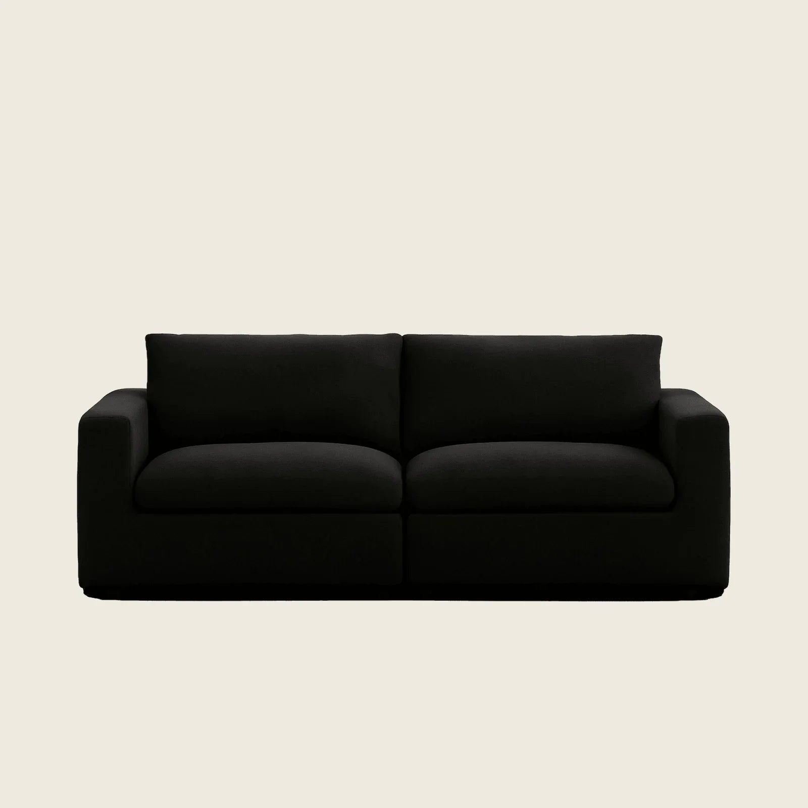 Black two-seater luxury sofa with modern design, perfect for contemporary living rooms