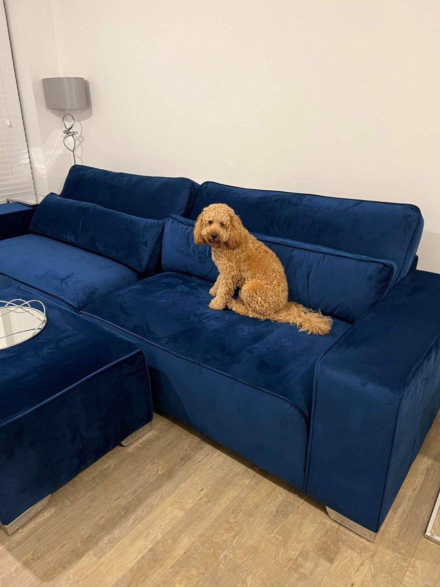 Modern blue velvet 4-seater sofa and footstool in living room with small dog sitting on sofa.